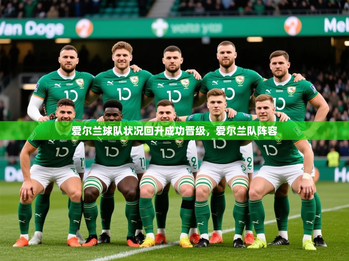 爱尔兰球队状况回升成功晋级，爱尔兰队阵容